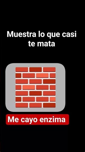 que bueno que sobreviví