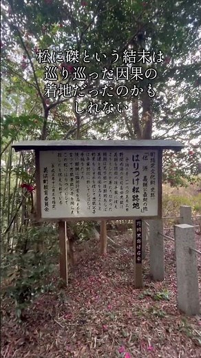 愛知】 「密蔵院・磔の松」源頼朝が父・義朝の菩提のために創建した密蔵院。平家討伐という大きなうねりの中で、源頼朝と、父、源義朝を討った長田父子の因縁は静かに絡み合っていました