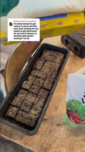 How to plant celery from seed (with research notes) #celeryseed #plantingcelery #gardening