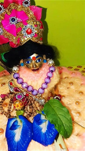 Laddu gopal 🙏🌺🙏 #devotionalsongs #religion 🙏🙏#shyam #ytshorts #subscribe #bhakti #laddugopal#share