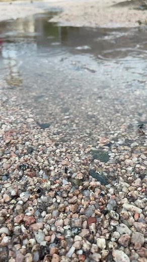 Exploring Colorful Pebbled Ground and Rocky Landscape