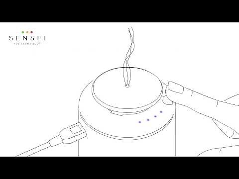 Scent Diffuser for Car - USB Powered Aroma Oil Diffuser - Use in a car or with any USB power source