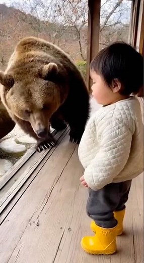 【驚愕】3歳の子供が熊を一喝！ #shorts #熊 #クマ #くま #おすすめ