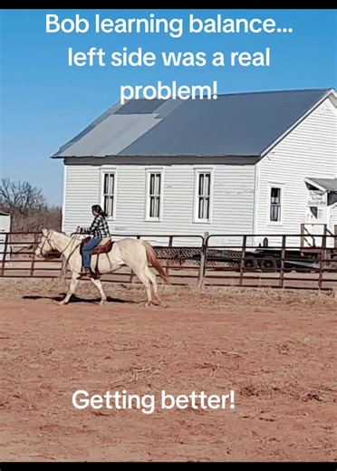 Miss Bob Davis and Harriett Ducey!!! Im doing my best to give Bob here the very best start in life possible!! Bob Davis left him with me knowing I would do just that!! We have had some struggles along the way but are pushing through!! ❤️❤️‍🩹 We as trainers ALWAYS have room for improvements!! We arn't all perfect!! #horsetrainingdoneright #horsetrainingtiktok #horsesoftiktok #horsegirl #cowgirlup