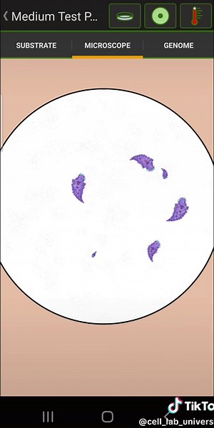 #fyp #fypシ゚viral #fypage #foryou #for #fy #foryour #foryourpage #foryourpages #viral #viralvideo #tiktok #part #part1 #part2 #tiktokindia #tiktokusa #tiktokviral #video #celllab #cell_lab #celllabs #celllabgame #science #biology #bio #animals #microscopy #bacteria #bugs #spore #android #mobile #phone #mobilegames #games #videogames #science #biology #bio #biologia #bioaqua #biologique #для #дляменя #фор #форйю #форйюпейдж #игры #игра #мобильныеигры