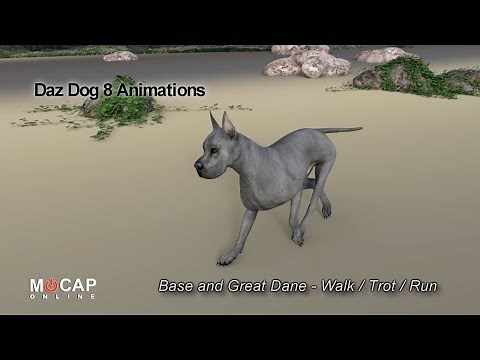 Daz Dog 8 - Base and Great Dane Animation Loops