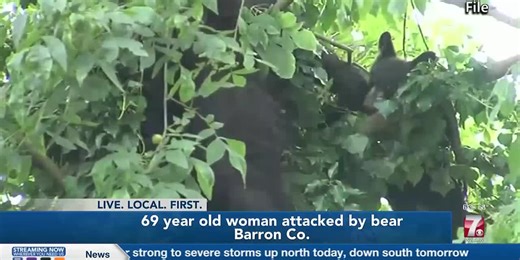 Reminders on protecting yourself from bears