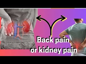 backpain vs kidney pain | must watch | ‪@TheNutriGurl‬‪@nutrivital0‬