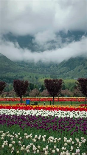 POV: You Found Heaven in Kashmir