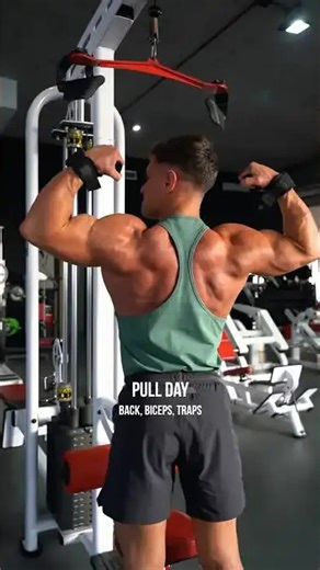 The perfect pull workout #bodybuilding #fitness