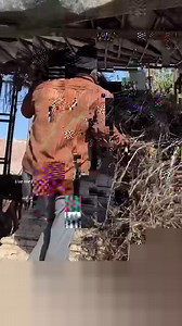 25K views · 36 reactions | Center Fresh Chewing Gum और Colgate में इस्तेमाल होने वाला तेल कैसे बनाया जाता है | Live For Food | Facebook