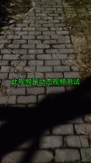 动态视频测试