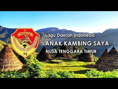 Anak Kambing Saya - Lagu Daerah NTT (dengan Lirik)