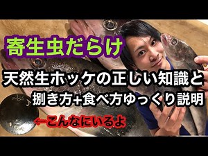 ※大量の寄生虫のいる｢天然真ホッケ｣を生で食う☆正しい捌き方、食べ方ゆっくり解説♪
