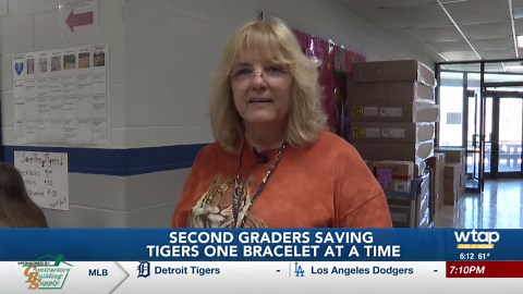 Second graders are saving tigers one bracelet at a time
