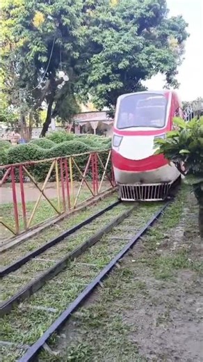 Survival Skills- SMART idea and USEFUL withsingle mom #bushcraft #camping#outdoors