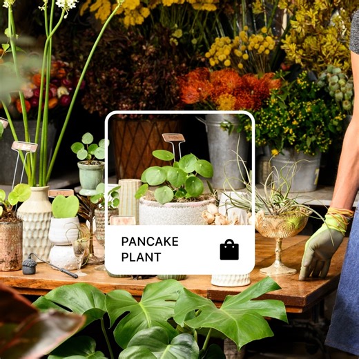 17 comments | Start selling on Facebook and Instagram, and manage it all from one place. Grow wherever your customers are with the Square x Meta for Business integration. | Square | Facebook