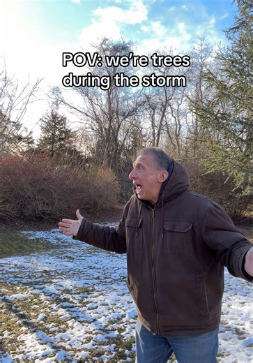 Good day to not be a tree. | trees exploding from cold