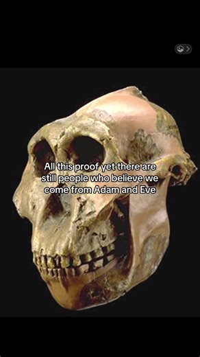 Humans and Evolution: A Complex Debate