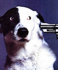 Shop Luncheon Concert & Tour History  | Concert Archives