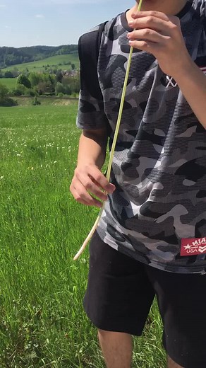Půlnoční hodina odbita. 🌼🌛@zuzanka❤️ #fy #foryou #music #pampeliška #nature