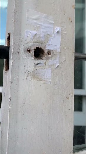 FM Locksmith. Chubb security bolt.