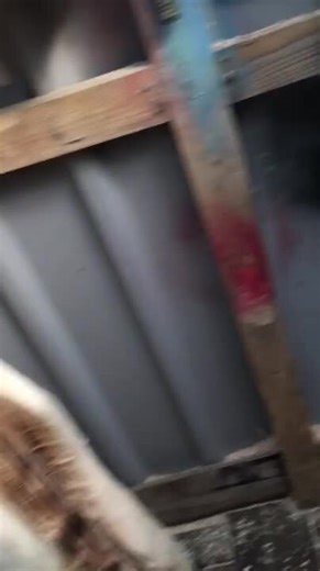 Chainsaw Carved Dragon on Fire