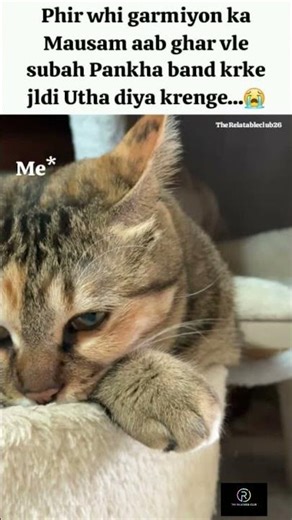 “Summer is here… 😭” #shorts #ytshorts #trending #funny #comedy #relatable #summerproblems #fanoff