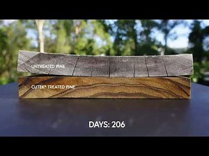 Pine Treated with CUTEK® Extreme CD50 Timelapse