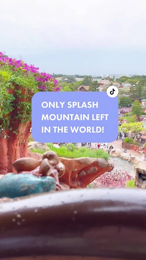 Come to Tokyo Disneyland, if you want to experience the only splash mountain in the world #splashmountain #tokyodisneyland #tokyodisneytravel #tokyodisneyresort #tokyodisneysea