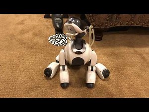 Aibo Custom Data - 'Special Sound by Matsuura 1' Boot Tune & Dances (ERS-7)