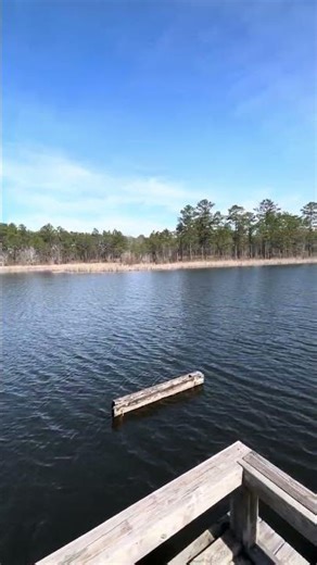 Checking out this camping site spot one #campping #cargotrailer #festival #RVLife #Campground ￼￼