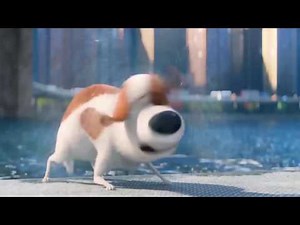 : English ESL video lessons