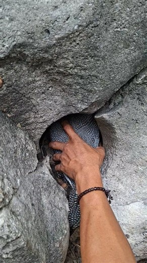 Wow amazing🦃 | Jall Af