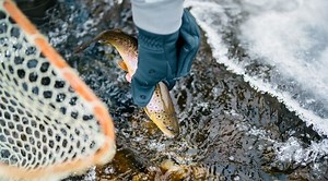 Best Fishing Gloves - 2023 Buyers’ Guide - The Wading List