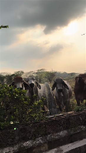 Momentos Mágicos en Pareja