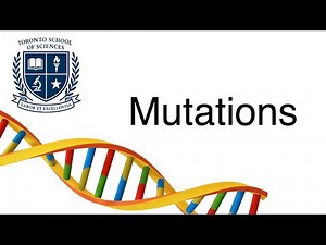 Mutations | Types, Effects, and Impacts
