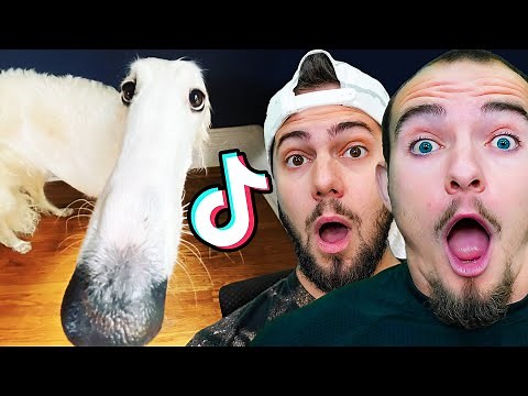 Most Viral TikToks Ever Made