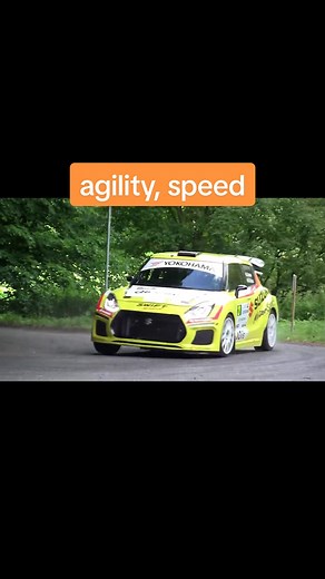 Rally Suzuki Swift Sport: Speed and Agility Showcase