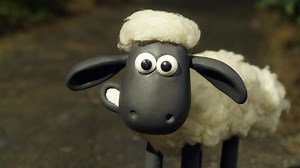 Baranek Shaun Odcinek 24