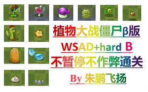 【飞扬】植物大战僵尸β版 全站第二发WSAD+hardB不暂停过关