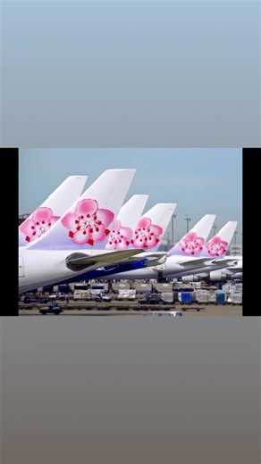 1.1K views · 65 reactions | China Airlines 中華航空 on Reels | Facebook