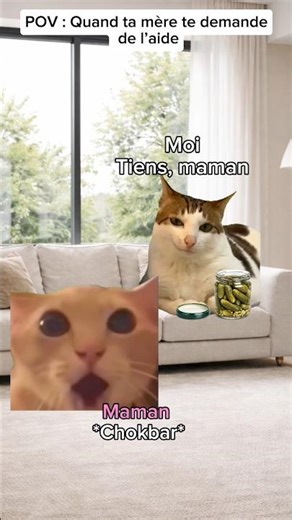 POV : quand tu aides ta famille vs ton père #humour #pov #catmemes #drole #sketch