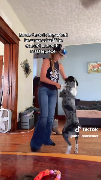 Teaching Blue Heeler to Dance to Country Music