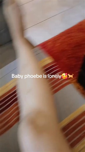 My dog is the best 😀💘 Part 5 | Fun With Us