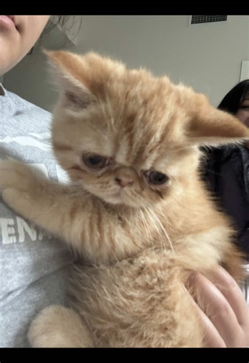 Understanding Jesus' Love - A Relatable Perspective