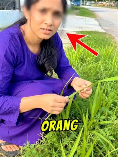 Orang Melaka tersilap buat kuih seri muka pakai daun lalang, tapi kisah Tessica Brown lagi legend. Dia tersalah guna Gorilla Glue Spray sebagai hair spray sampai rambut keras sebulan, sebelum doktor bantu selamatkan rambut dia #kuih #fyp #malaysia