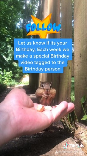 Special Chipmunk Birthday Video 🎉