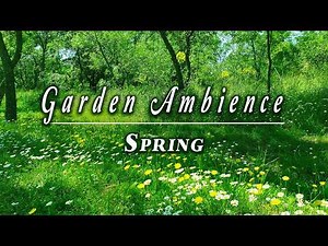 Relaxing Nature Ambience Meditation 🌳 Healing Sounds of a Calming SPRING Morning in the GARDEN