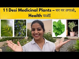 11 Must-Have Medicinal Plants for Every Indian Home – Easy to Grow & Use | घर पर लगाओ, Health पाओ